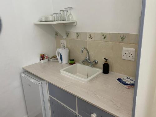 a kitchen counter with a sink in a kitchen at Green Olive Guesthouse in Robertson
