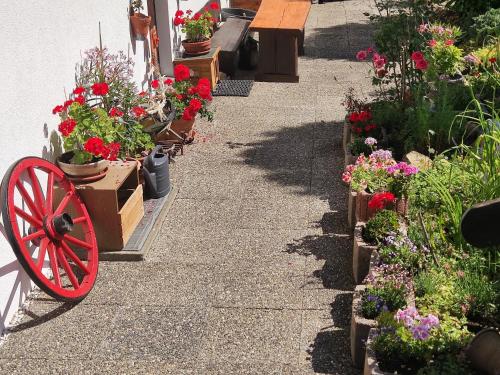 a garden with flowers in boxes and a red wheel at Wenz Wohnung in Schwarzsee