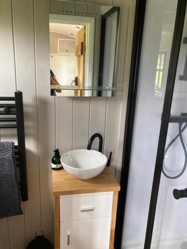 a bathroom with a sink and a mirror at Owls Retreat, Meadowview House in Stoke on Trent