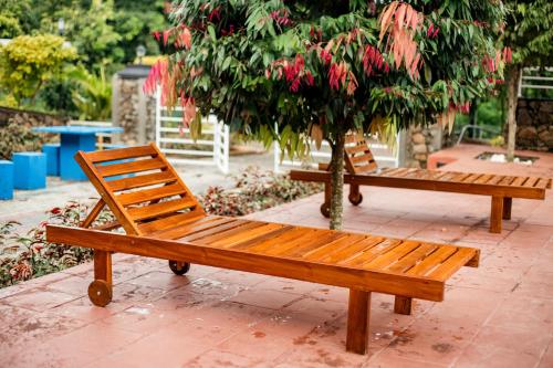 two wooden benches sitting next to a tree at Capital Resort Inn in Monaragala