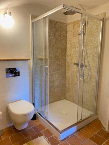 a shower stall in a bathroom with a toilet at La Casa Medievale Suites e SPA in Pontremoli