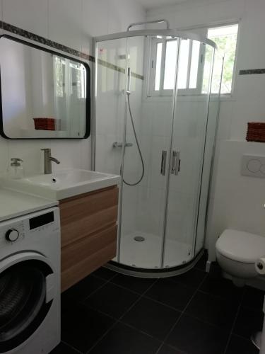 une salle de bain avec douche et lavabo et une machine à laver dans l'établissement Appartement centre Antibes bd Albert 1er, à Antibes