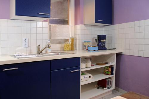 eine Küche mit blauen Schränken und einem Waschbecken in der Unterkunft Kleine13 (Hohe13) in Quedlinburg