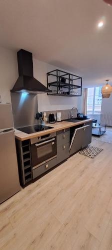 une cuisine avec une cuisinière et un comptoir dans l'établissement Joli appartement au coeur de Mâcon, à Mâcon