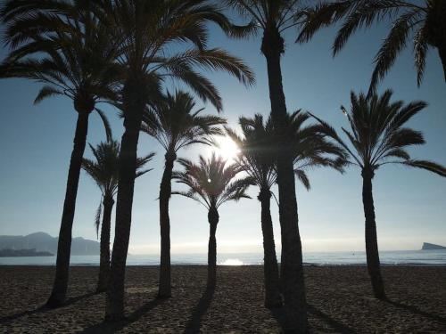 Benidorm vistas top a 50 m playa