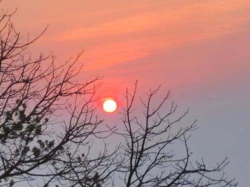 a sunset with trees in the foreground at Hello countryside in Ban Khang Hong Tai