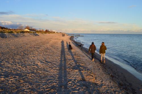 グレーミッツにあるFerienhof Kruse Wohnung 3のビーチを犬と一緒に歩く2名