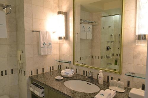 a bathroom with a sink and a mirror at Okura Akademia Park Hotel in Kisarazu