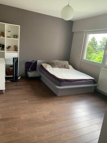 une chambre avec un lit et une fenêtre dans l'établissement Panthause avec 3 chambres à coucher pour 6 personnes, à Bourg-la-Reine