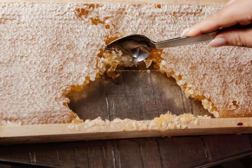 a person holding a spoon on a piece of wood at Mövenpick Hotel Geneva in Geneva