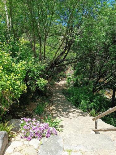 a path with a bench and some flowers and trees at Triana in Villarejo del Valle