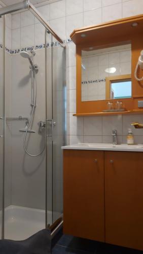 y baño con ducha y lavamanos. en Gästehaus Familie Trachsler, en Rohrendorf bei Krems