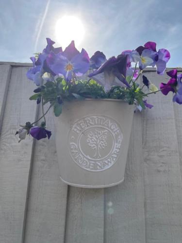 a pot of flowers on the side of a building at Tranquil 2-Bed Bungalow Near to Southwold in Wrentham