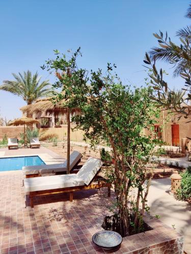 une villa avec une piscine et un arbre dans l'établissement Zagora Oasis Lodge, à Zagora