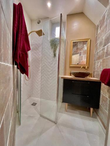 une salle de bain avec une douche en verre et un lavabo dans l'établissement Repaire du sorcier, escape game, nuit atypique, à Reims