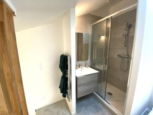 une salle de bain avec une douche, un lavabo et un miroir dans l'établissement Hypercentre lamartine 513, à Nice