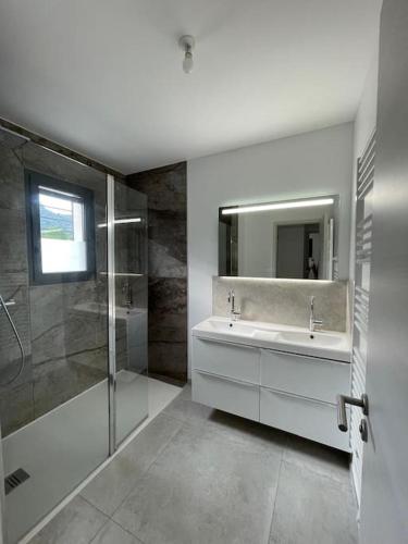 une salle de bain avec un lavabo, une douche et un miroir dans l'établissement Villa raffinée, piscine, jardin, proche Cassis et Marseille, à Aubagne