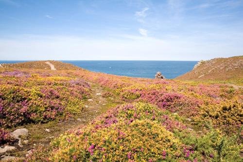 a field of flowers with the ocean in the background at Vues mer - Accès direct plage - 4 adultes 3 enfants in Erquy