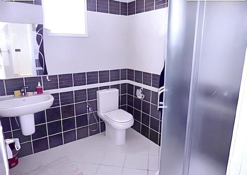 a bathroom with a toilet and a sink at 3 bedrooms house at Djerba Midoun 800 m away from the beach with terrace and wifi in Taguermess