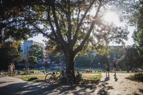 a group of bikes parked under a tree in a park at The Circus Hostel in Berlin