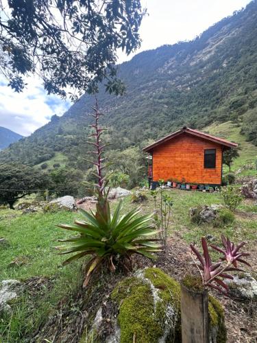 a small wooden cabin in a field with a mountain at Rincón Entre Piedras-Cabaña Entre Montañas in Choachí