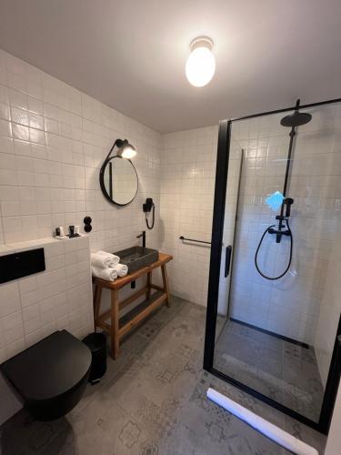 a bathroom with a shower and a toilet and a sink at Penzion Kaplanka in Znojmo