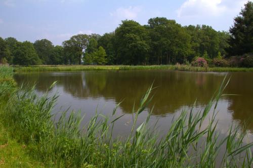 un gran lago con árboles en el fondo en Bed&Breakfast Kasteel Den Tip, en Arendonk
