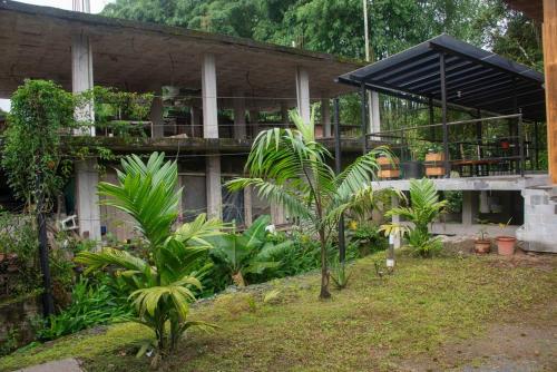 a building with a bunch of plants in front of it at Maison Mindo in Mindo