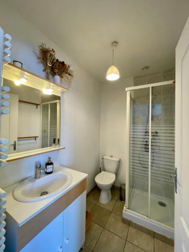 une salle de bain avec un lavabo et des toilettes dans l'établissement 35m2 à la Madeleine: Salon, Cuisine & sdb privés, à La Madeleine