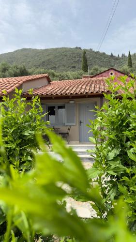 Olga's Sea View Studios, 400m from Ipsos Beach