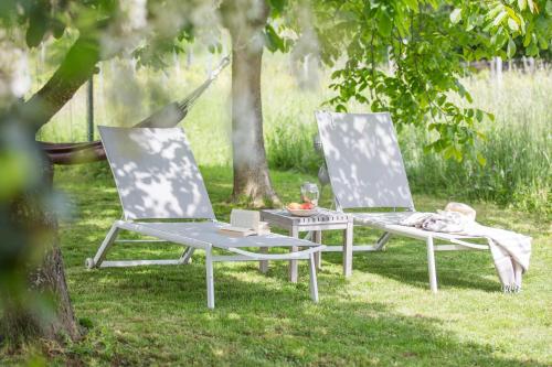 two chairs and a table in the grass at Weinloft I by WEINLOFTS in Edlitz im Burgenland