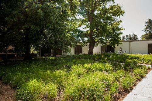 a garden with grass and trees in front of a building at MAISON FRANSCHHOEK in Franschhoek