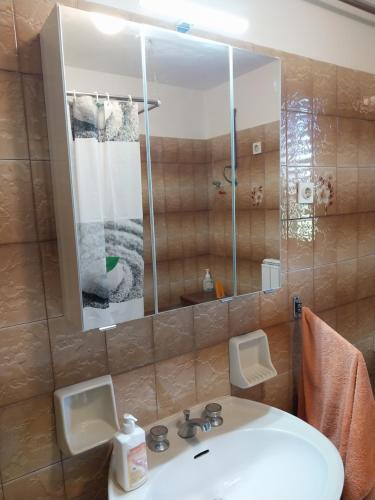 uma casa de banho com um lavatório e um espelho em Luketovi em Kostanjevica na Krasu