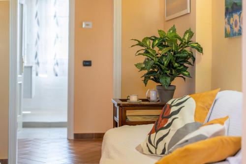 a living room with a couch and a potted plant at Villa Sunshine apartments in Gambassi Terme