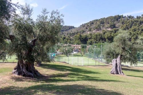 Φυσικό τοπίο κοντά σε αυτό το διαμέρισμα
