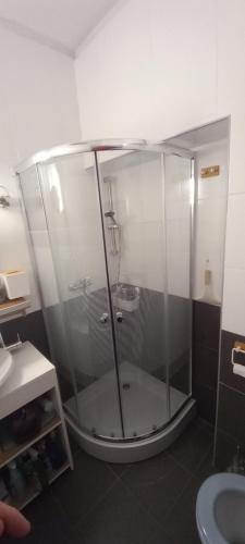 Apartments Podkoren 82 في كراجسكا غورا: دش زجاجي في حمام مع حوض
