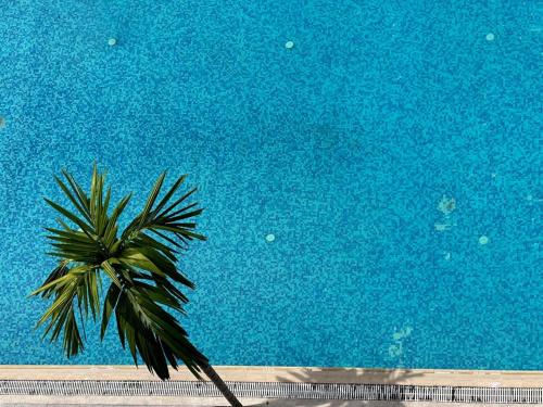 Fotografie z fotogalerie ubytování Hotel Belle Vie v destinaci Kinshasa