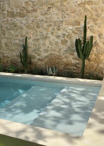 une piscine avec des cactus en face d'un mur de pierre dans l'établissement La Maison du Puisatier • Centre historique • Piscine chauffée •Jardin, à Uzès