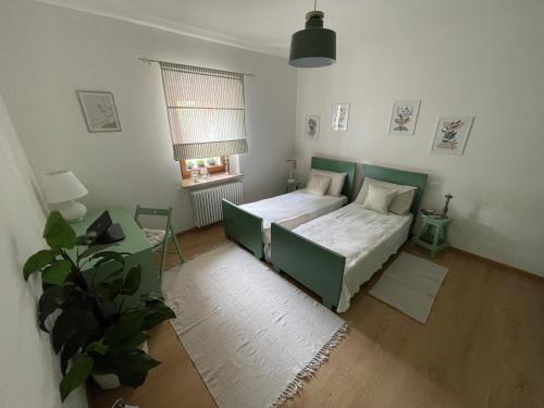 a bedroom with a bed and a plant in it at All'ombra del tiglio Bed&Breakfast in Doberdò del Lago