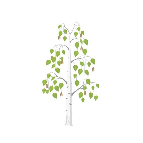 Φωτογραφία από το άλμπουμ του Betula Views Studio σε Newent