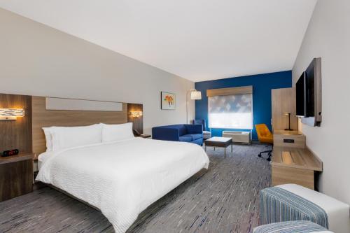 坦帕的住宿－Holiday Inn Express & Suites Tampa Stadium - Airport Area, an IHG Hotel，一间酒店客房,配有一张床和一台电视