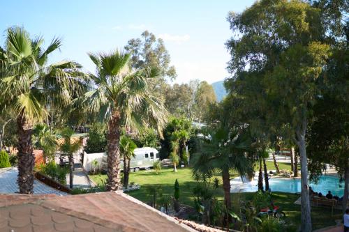 阿奇亞卡的住宿－No 22 Riders' Inn，享有带游泳池和棕榈树的度假村的景致