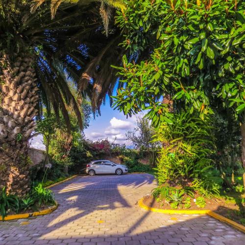 a car parked in a driveway with a palm tree at Hosteria Airport Garden in Tababela