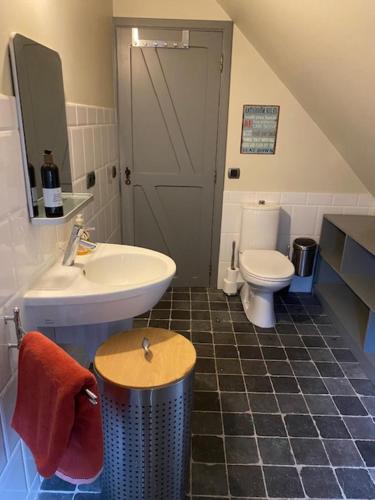 アウデナールデにあるDomus Materの洗面台とトイレ付きのバスルーム