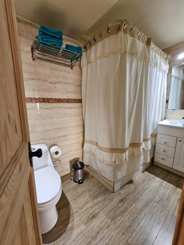 a bathroom with a toilet and a shower curtain at Departamento Frente al Mar in Viña del Mar