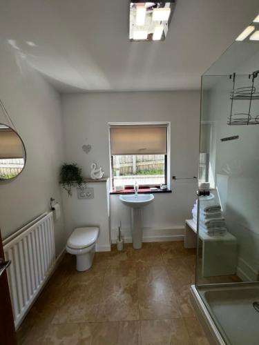 a bathroom with a toilet and a sink and a window at The Danes Gower, Llanmadoc, Gower in Swansea