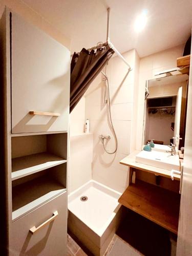 une salle de bain avec douche et lavabo dans l'établissement MAS DREVON T3 Parking - Mer à 15mn - proche Comédie, à Montpellier