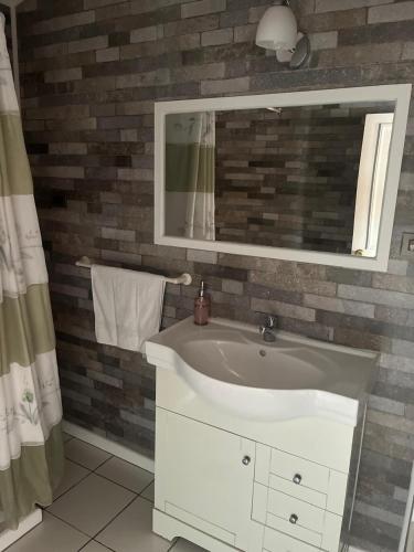 a bathroom with a white sink and a mirror at Cabañas Español Coyhaique in Coihaique