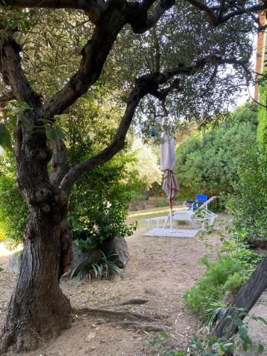Fotografie z fotogalerie ubytování Kale Moru - La Terrazza Sul Mare v destinaci Geremeas
