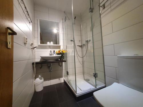 a bathroom with a glass shower and a sink at Hotel-Pension Grüne Linde in Delitzsch